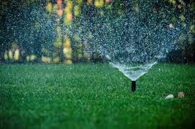 Irrigation System InstallationExpertly installed irrigation solutions to keep your garden lush and healthy.